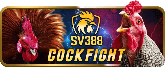 Hướng dẫn cá cược vui88 casino